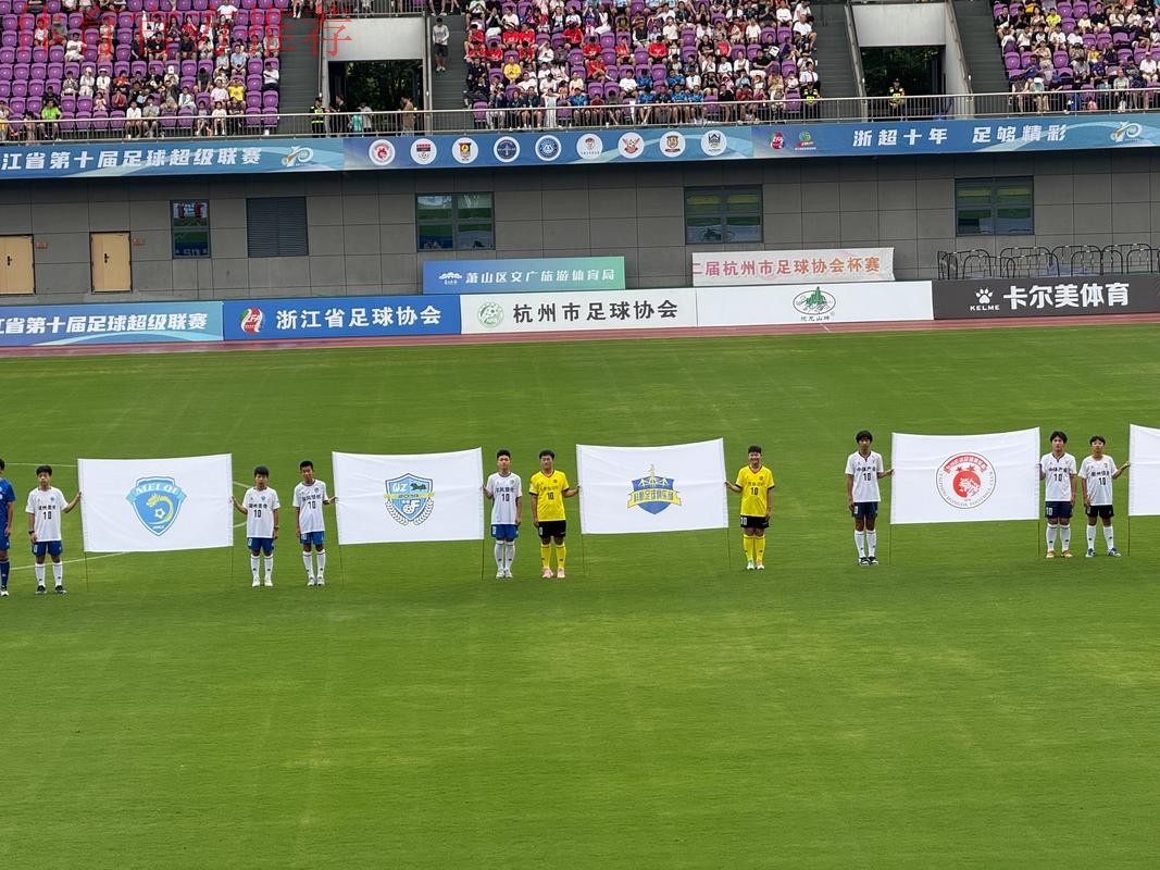 浙超连侨心，乡情燃赛场——50国温籍华裔青少年助威浙超温州赛区
