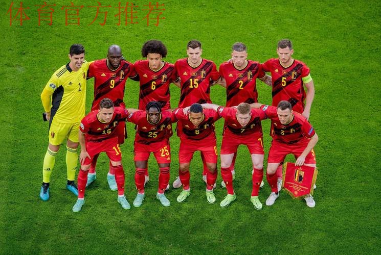 比利时队晋级戴维斯杯四强 比利时队晋级戴维斯杯四强